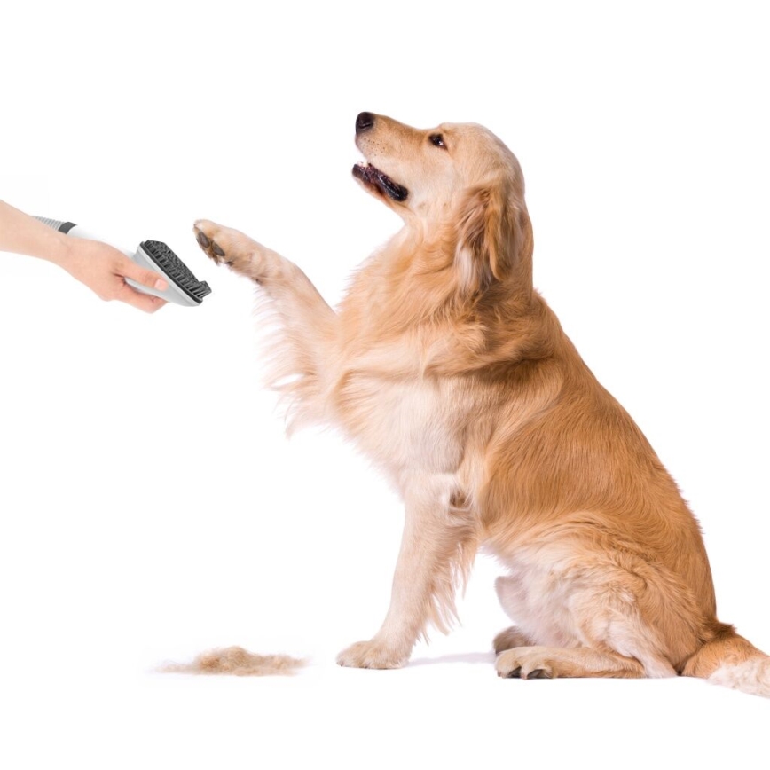 TESLA Electronics PetCare - Lemmikkieläinten hoitosarja 300W/230V