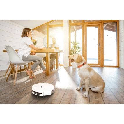 TESLA Electronics RoboStar - Älykäs robottipölynimuri 2in1 2500 mAh Wi-Fi Tuya valkoinen + kauko-ohjaus