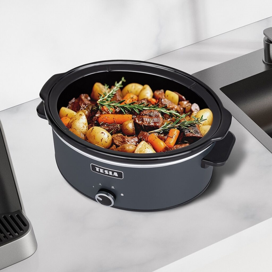 TESLA Electronics SlowCook - Haudutuskattila 6,5 l 270W/230V
