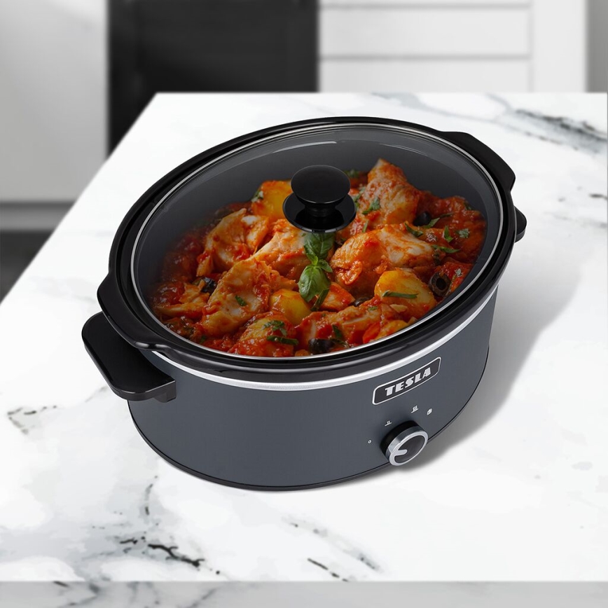TESLA Electronics SlowCook - Haudutuskattila 6,5 l 270W/230V