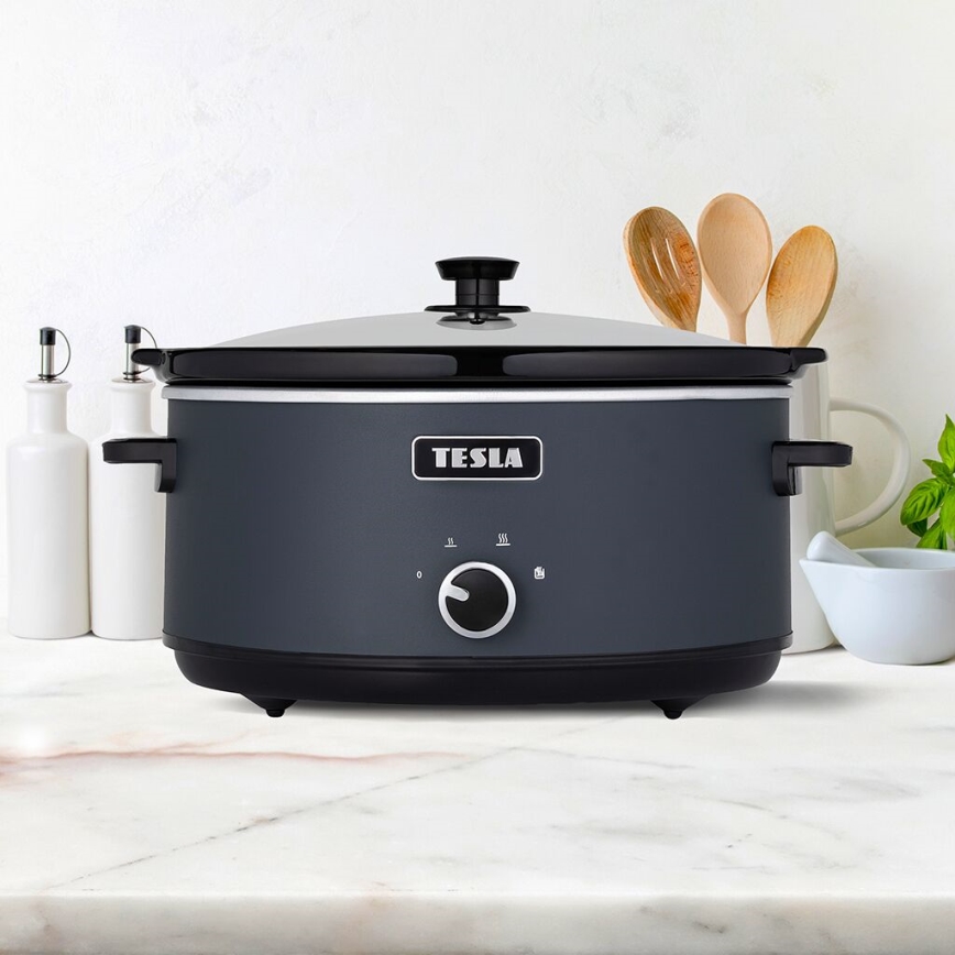TESLA Electronics SlowCook - Haudutuskattila 6,5 l 270W/230V