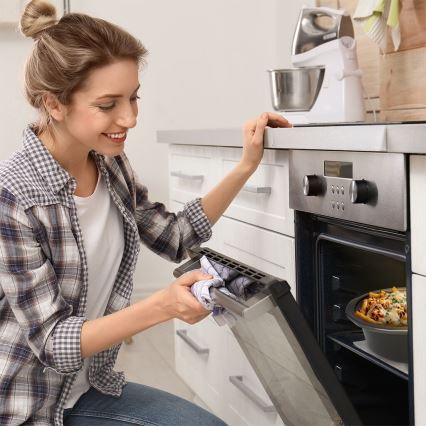 TESLA Electronics SlowCook - Haudutuskattila 6,5 l 270W/230V