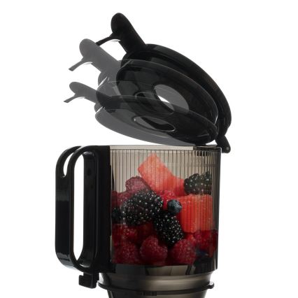 TESLA Electronics SlowJuicer Deluxe - Hidasnopeuksinen mehupuristin 250W/230V ruostumaton/musta