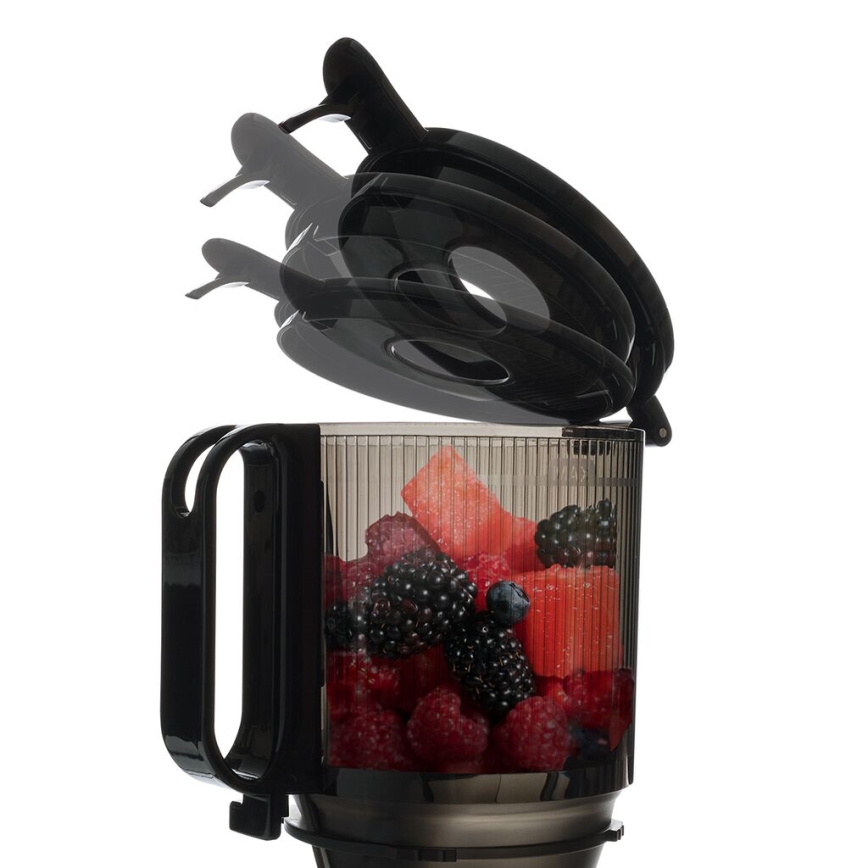 TESLA Electronics SlowJuicer Deluxe - Hidasnopeuksinen mehupuristin 250W/230V ruostumaton/musta
