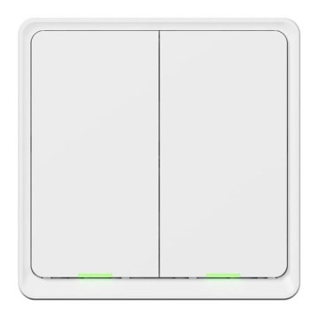 TESLA Smart - Älykäs kotikatkaisin 2P 230V Wi-Fi