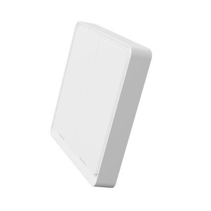 TESLA Smart - Älykäs langaton kotikytkin 2P 1xCR2430 ZigBee