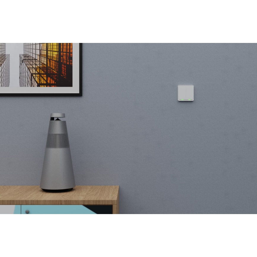 TESLA Smart - Älykäs langaton kotikytkin 2P 1xCR2430 ZigBee