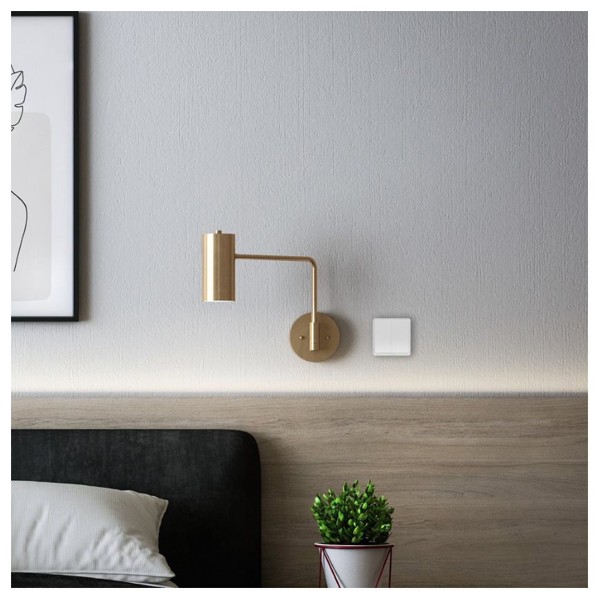 TESLA Smart - Älykäs langaton kotikytkin 2P 1xCR2430 ZigBee