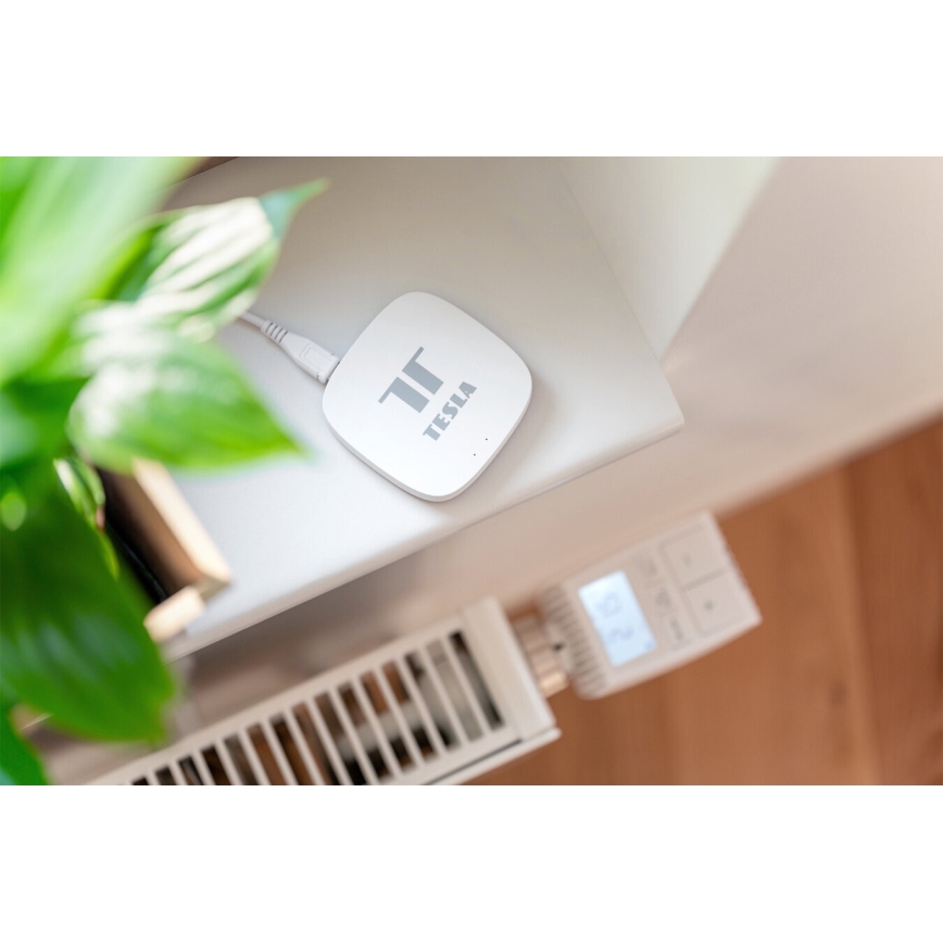 TESLA Smart - Älykäs yhdyskäytävä Hub Smart Zigbee Wi-Fi