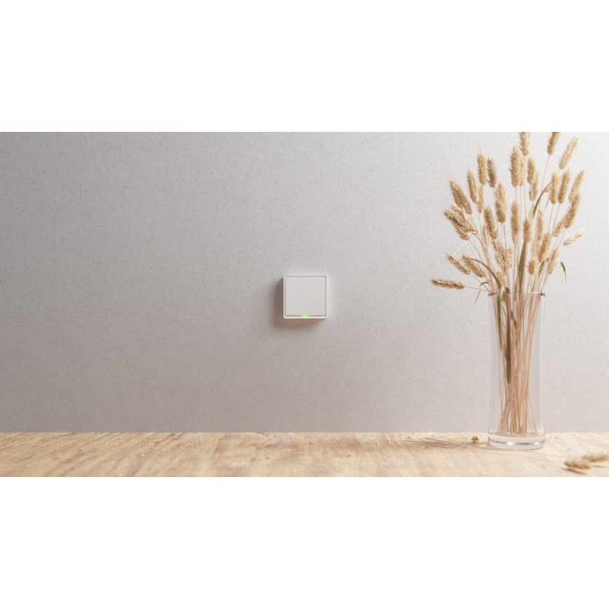 TESLA Smart - Älykotikatkaisin 1P 230V Zigbee