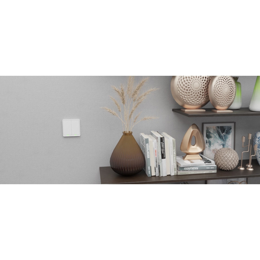 TESLA Smart - Älykotikatkaisin 1P 230V Zigbee