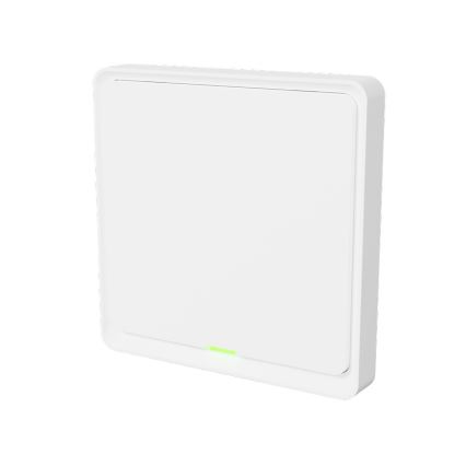 TESLA Smart - Älykotikatkaisin 1P 230V Zigbee