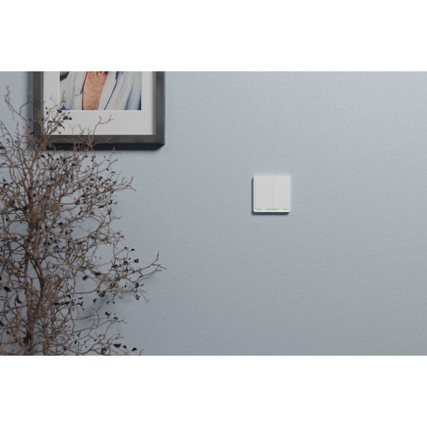 TESLA Smart - Älykotikatkaisin 2P 230V Zigbee