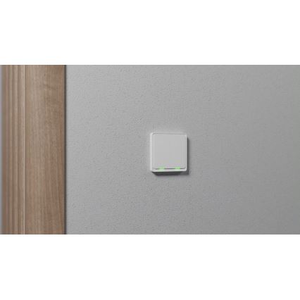TESLA Smart - Älykotikatkaisin 2P 230V Zigbee