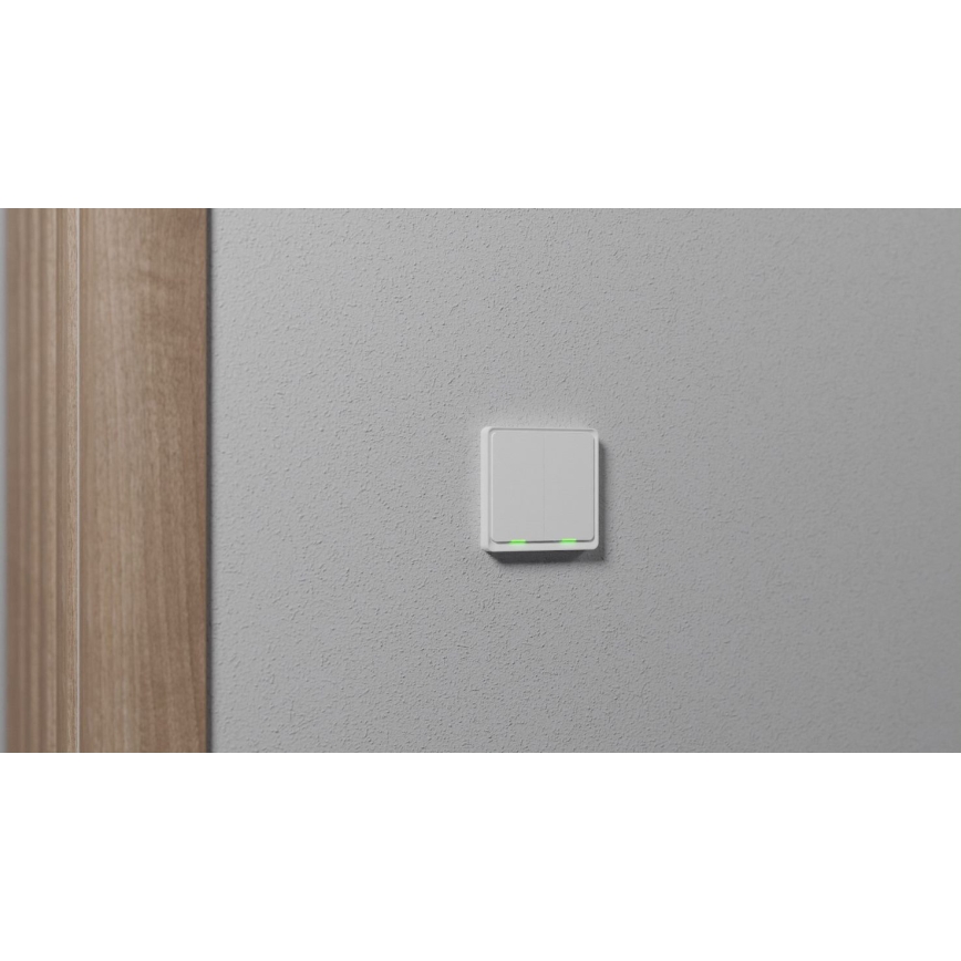 TESLA Smart - Älykotikatkaisin 2P 230V Zigbee