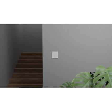 TESLA Smart - Älykotikatkaisin 2P 230V Zigbee