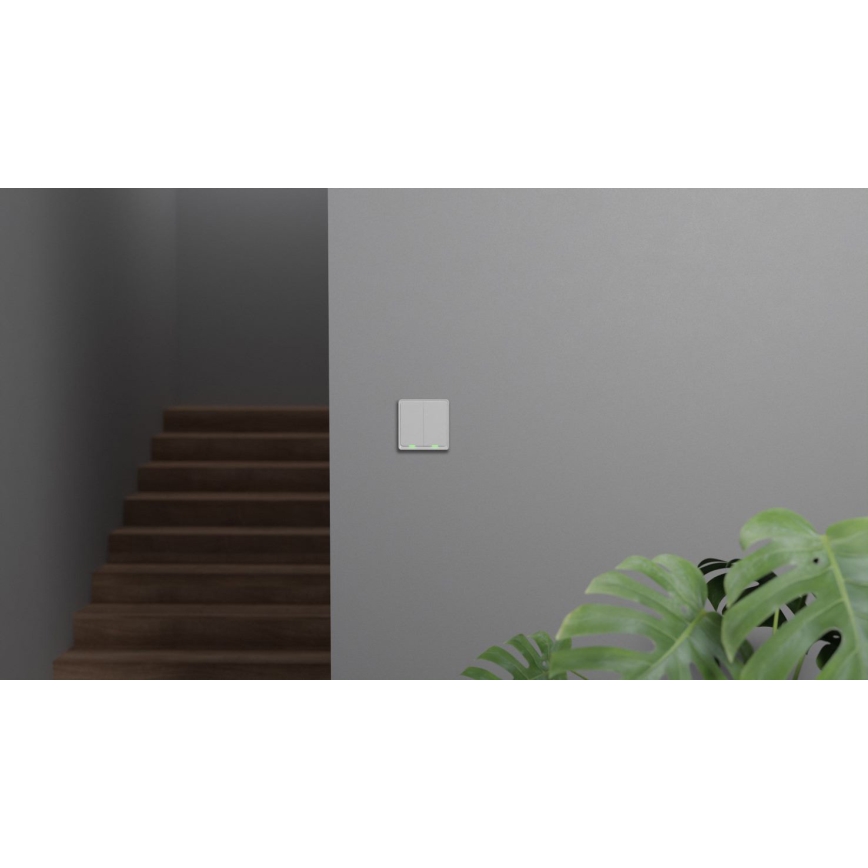 TESLA Smart - Älykotikatkaisin 2P 230V Zigbee