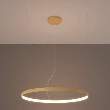 Thoro TH.174 - LED-kattokruunu johdossa RIO LED/50W/230V CRI 90 3000K halkaisija 78 cm kulta