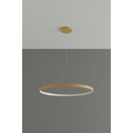 Thoro TH.174 - LED-kattokruunu johdossa RIO LED/50W/230V CRI 90 3000K halkaisija 78 cm kulta