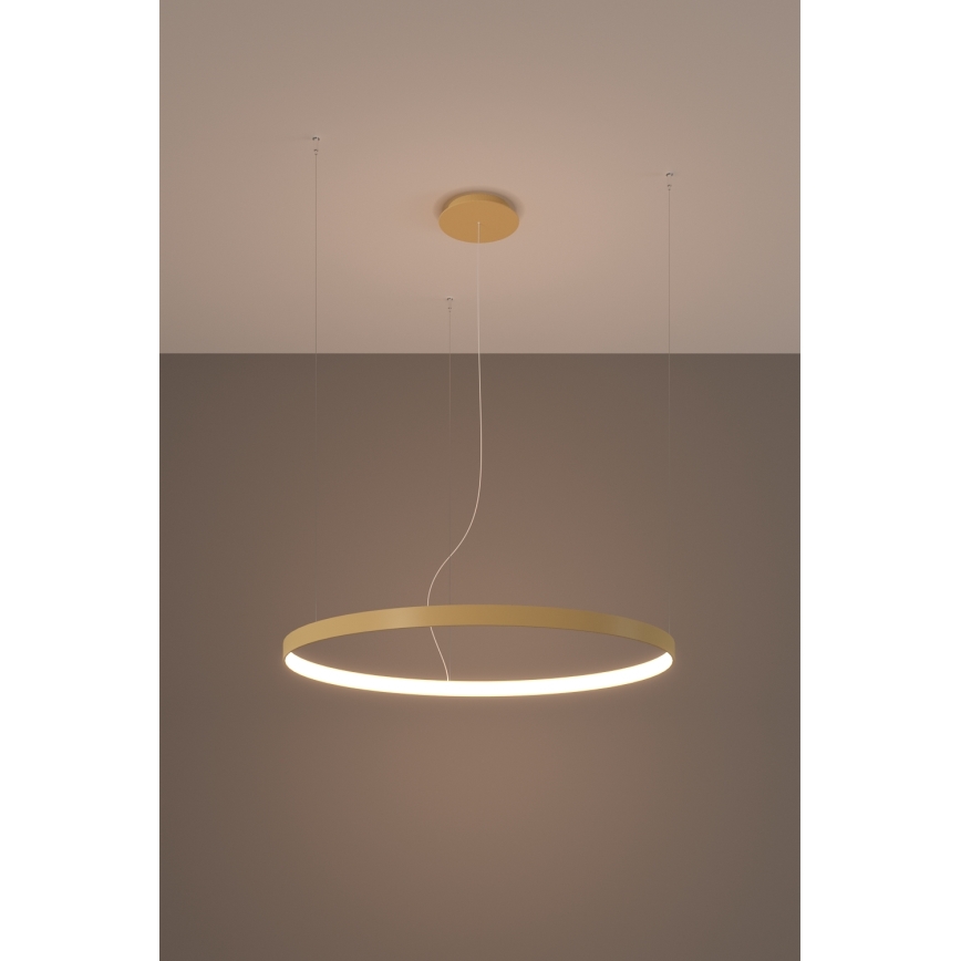 Thoro TH.174 - LED-kattokruunu johdossa RIO LED/50W/230V CRI 90 3000K halkaisija 78 cm kulta