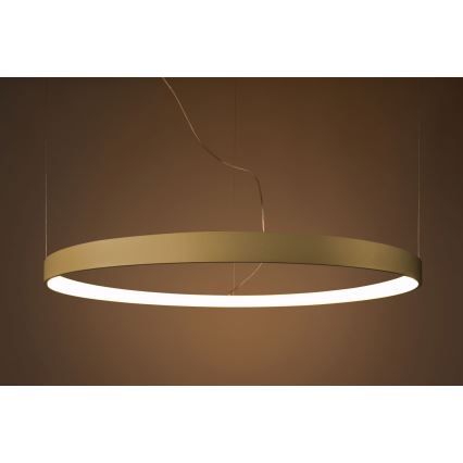 Thoro TH.174 - LED-kattokruunu johdossa RIO LED/50W/230V CRI 90 3000K halkaisija 78 cm kulta