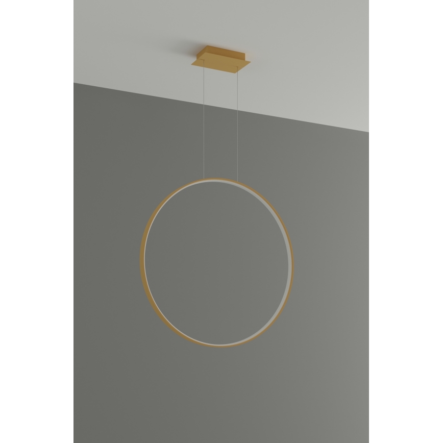 Thoro TH.175 - LED-kattokruunu johdossa RIO LED/50W/230V CRI 90 3000K halkaisija 78 cm kulta