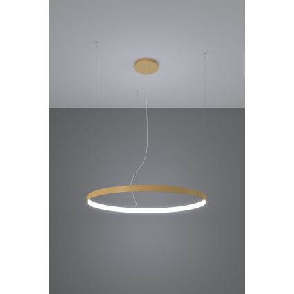 Thoro TH.181 - LED  Kattokruunu johdossa RIO LED /50W/230V CRI 95 4000K halkaisija 78 cm kulta
