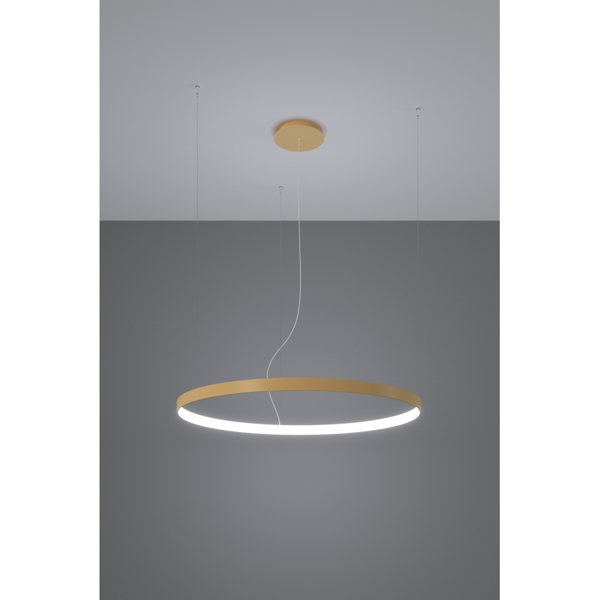 Thoro TH.181 - LED  Kattokruunu johdossa RIO LED /50W/230V CRI 95 4000K halkaisija 78 cm kulta