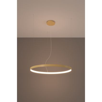 Thoro TH.216 - LED-kattokruunu johdossa RIO LED/30W/230V CRI 90 3000K halkaisija 55 cm kulta