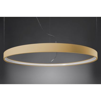 Thoro TH.216 - LED-kattokruunu johdossa RIO LED/30W/230V CRI 90 3000K halkaisija 55 cm kulta