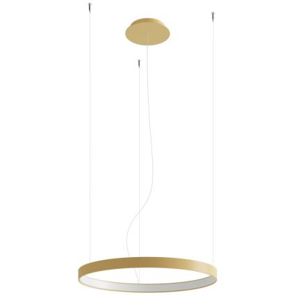 Thoro TH.216 - LED-kattokruunu johdossa RIO LED/30W/230V CRI 90 3000K halkaisija 55 cm kulta
