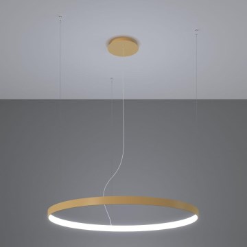 Thoro TH.217 - LED-kattokruunu johdossa RIO LED/30W/230V CRI 95 4000K halkaisija 55 cm kulta
