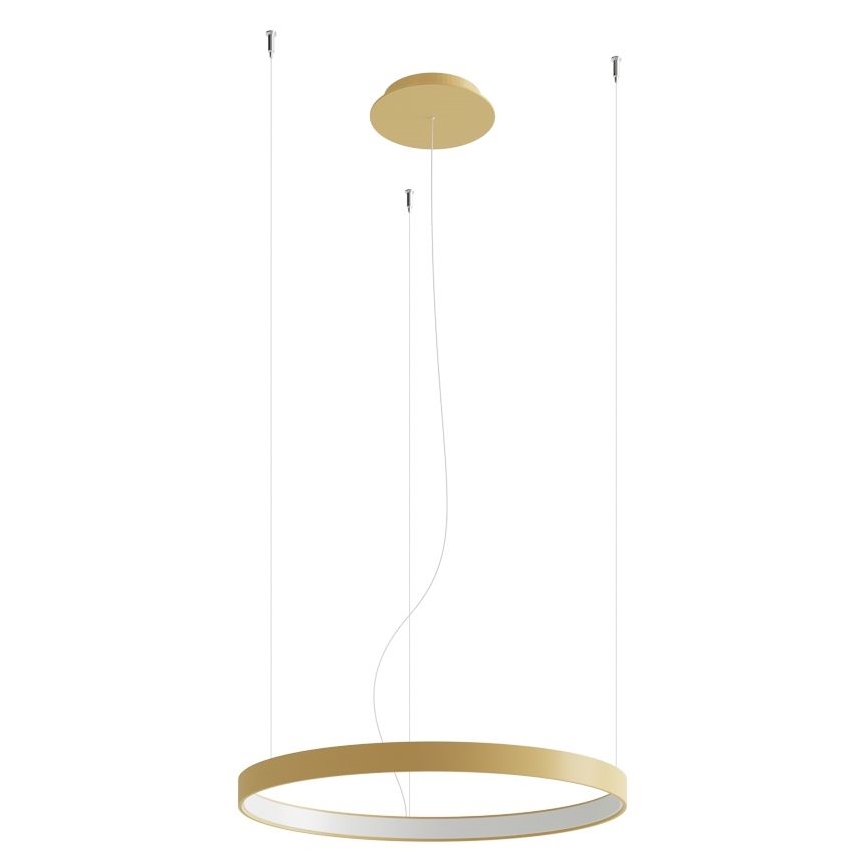 Thoro TH.217 - LED-kattokruunu johdossa RIO LED/30W/230V CRI 95 4000K halkaisija 55 cm kulta