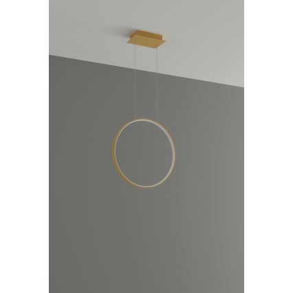 Thoro TH.220 - LED-kattokruunu johdossa RIO LED/30W/230V CRI 90 3000K halkaisija 55 cm kulta