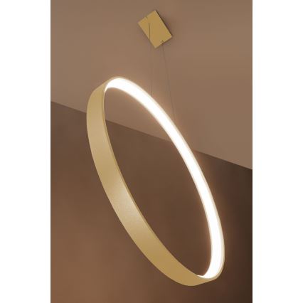 Thoro TH.220 - LED-kattokruunu johdossa RIO LED/30W/230V CRI 90 3000K halkaisija 55 cm kulta