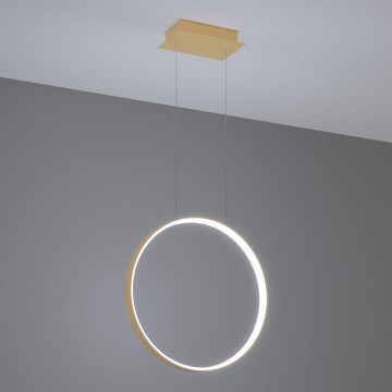 Thoro TH.221 - LED-kattokruunu johdossa RIO LED/30W/230V CRI 95 4000K halkaisija 55 cm kulta