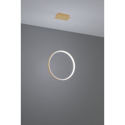 Thoro TH.221 - LED-kattokruunu johdossa RIO LED/30W/230V CRI 95 4000K halkaisija 55 cm kulta