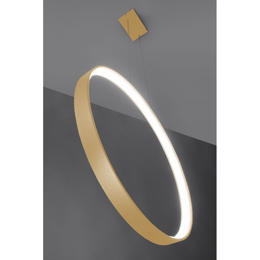 Thoro TH.221 - LED-kattokruunu johdossa RIO LED/30W/230V CRI 95 4000K halkaisija 55 cm kulta