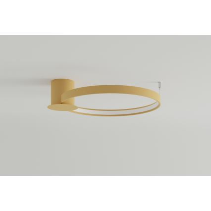 Thoro TH.223 - LED-kattovalaisin RIO LED/30W/230V CRI 95 4000K halkaisija 55 cm kulta