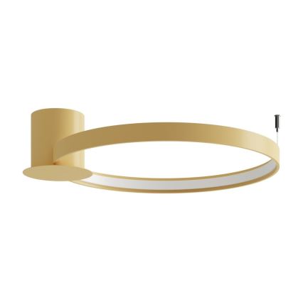 Thoro TH.223 - LED-kattovalaisin RIO LED/30W/230V CRI 95 4000K halkaisija 55 cm kulta