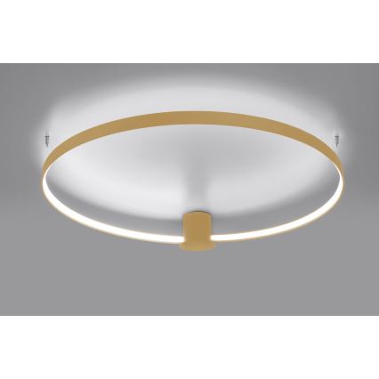 Thoro TH.223 - LED-kattovalaisin RIO LED/30W/230V CRI 95 4000K halkaisija 55 cm kulta
