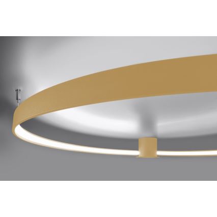 Thoro TH.223 - LED-kattovalaisin RIO LED/30W/230V CRI 95 4000K halkaisija 55 cm kulta
