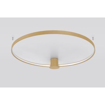 Thoro TH.224 - LED-kattovalaisin RIO LED/50W/230V CRI 90 3000K halkaisija 78 cm kulta
