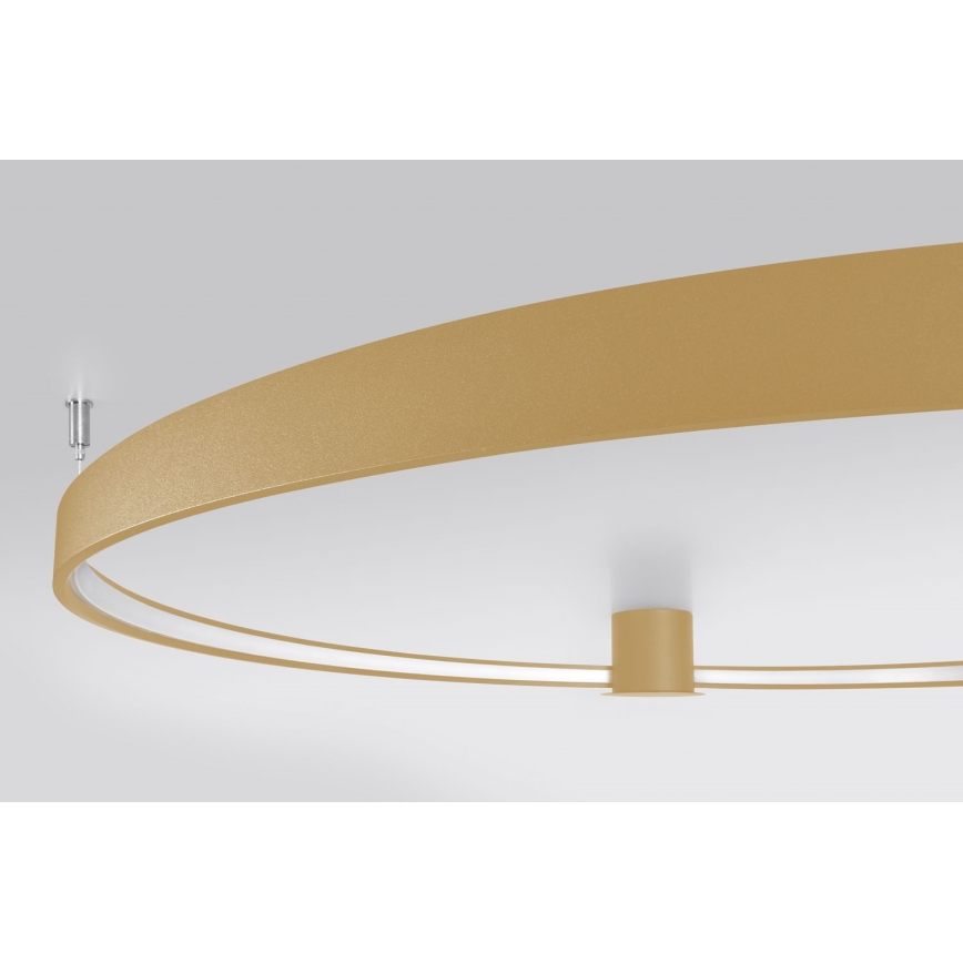Thoro TH.224 - LED-kattovalaisin RIO LED/50W/230V CRI 90 3000K halkaisija 78 cm kulta