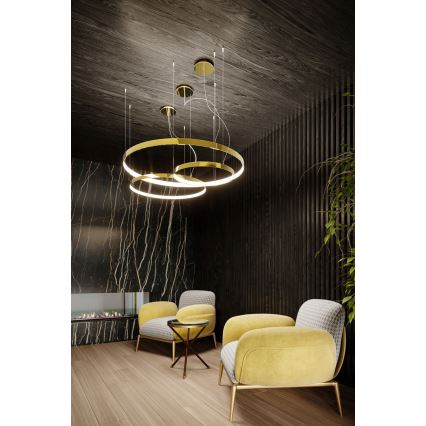 Thoro TH.246 - LED-kattokruunu johdossa RIO LED/50W/230V CRI 90 3000K halkaisija 78 cm kulta