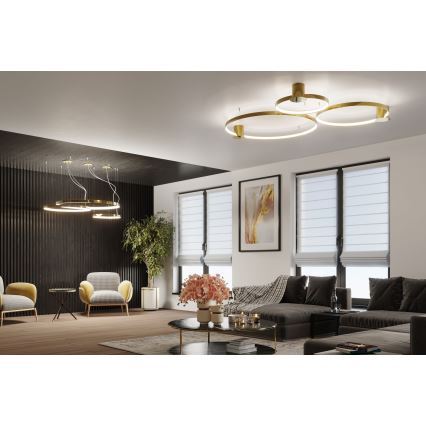 Thoro TH.246 - LED-kattokruunu johdossa RIO LED/50W/230V CRI 90 3000K halkaisija 78 cm kulta