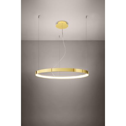 Thoro TH.246 - LED-kattokruunu johdossa RIO LED/50W/230V CRI 90 3000K halkaisija 78 cm kulta