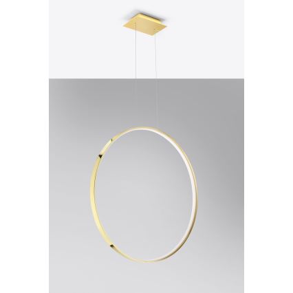 Thoro TH.248 - LED-kattokruunu johdossa RIO LED/50W/230V CRI 90 3000K halkaisija 78 cm kulta