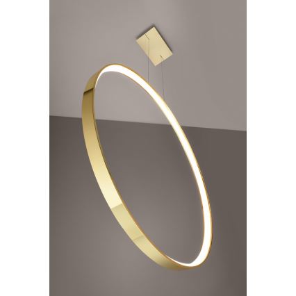 Thoro TH.248 - LED-kattokruunu johdossa RIO LED/50W/230V CRI 90 3000K halkaisija 78 cm kulta