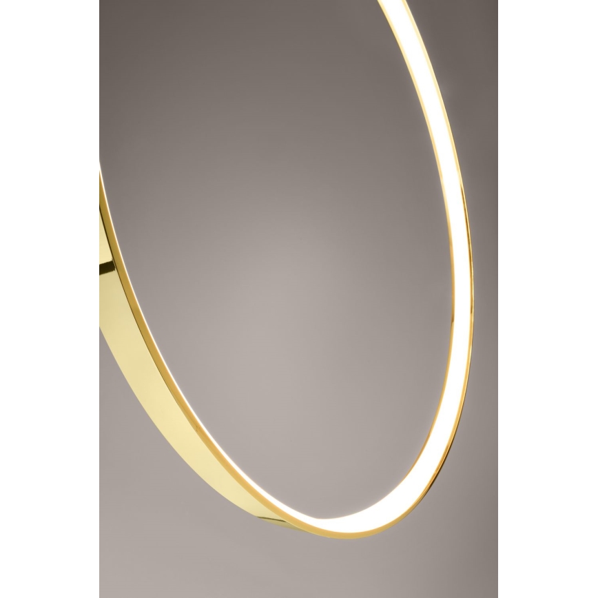 Thoro TH.248 - LED-kattokruunu johdossa RIO LED/50W/230V CRI 90 3000K halkaisija 78 cm kulta